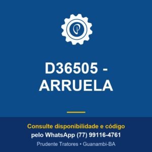 D36505 - ARRUELA - Prudente Tratores
