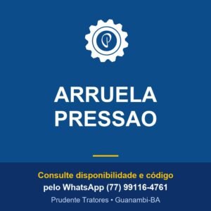 ARRUELA PRESSAO - Prudente Tratores