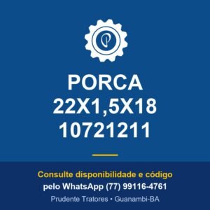 PORCA 22X1,5X18 10721211 - Prudente Tratores