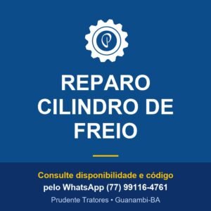 REPARO CILINDRO DE FREIO - Prudente Tratores