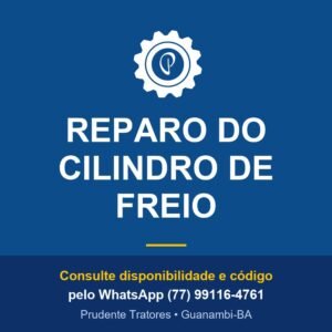 REPARO DO CILINDRO DE FREIO - Prudente Tratores