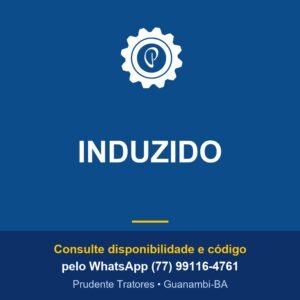 INDUZIDO - Prudente Tratores