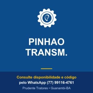 PINHAO TRANSM. - Prudente Tratores